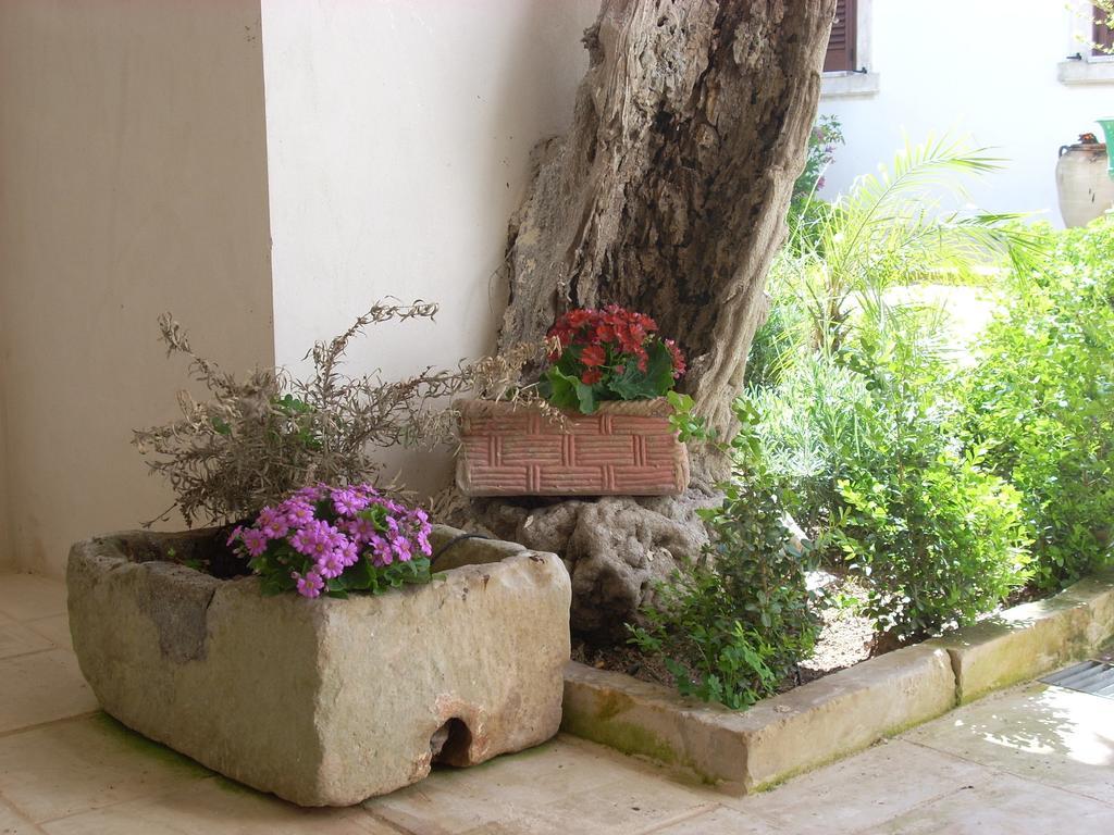 B&B Le Due Corti Martignano Экстерьер фото